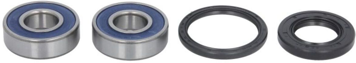Radlagersatz ALL BALLS AB25-1380