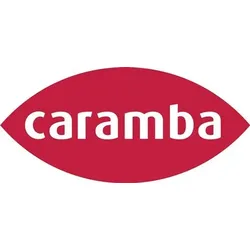 Intensiv Citrusreiniger 500ml Spraydose CARAMBA