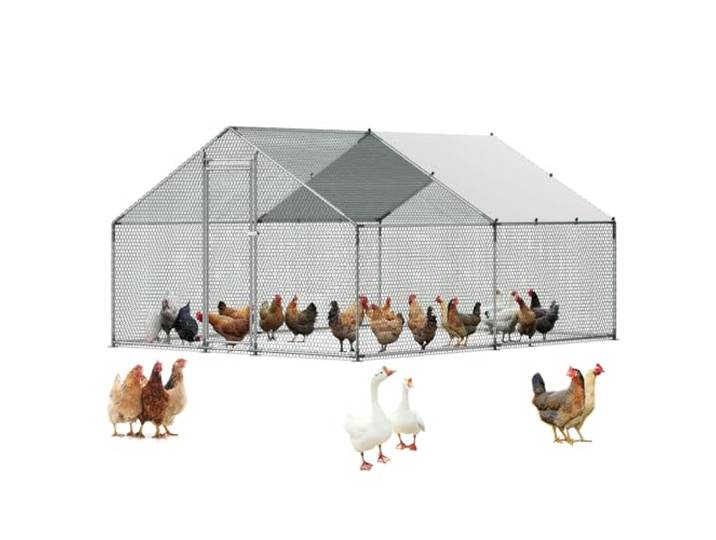 VEVOR Enclos Poulailler en Métal\, 3x4x2 m\, Grand Parc Grillagé avec Couverture\, Toit en Pente avec Serrure de Sécurité\, Cage Extérieur pour Poules\, Canards\, Lapins\, Volailles\, de Jardin\, Ferme\, Cour