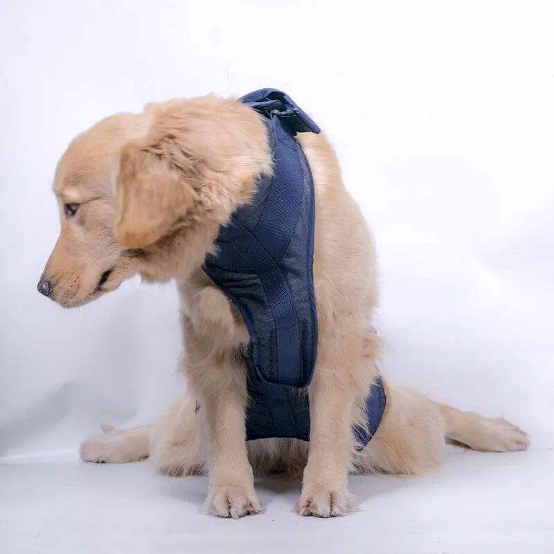 INF Hebegeschirr für ältere Hunde S