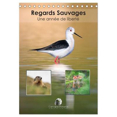 Regards sauvages - Une année de liberté (Calendrier de bureau 2027 DIN A5 horizontal), CALVENDO calendrier mensuel