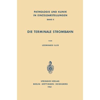 Die Terminale Strombahn, Taschenbuch von L. Illig, Springer Berlin, 978-3-642-86379-0