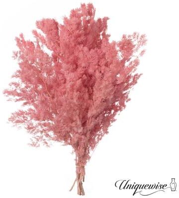Uniquewise Preserved Real Floral Stems Chic Vase Fillers & Accents for Bouquets Centerpieces & Ornamental Displays