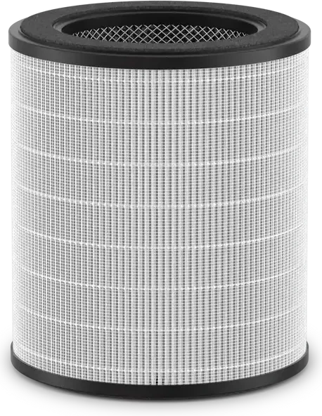 Rowenta XD6270F0 3-in-1-Filter für Luftreiniger PU22