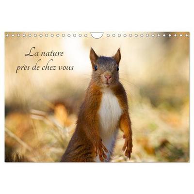 La nature près de chez vous (Calendrier mural 2027 DIN A4 vertical), CALVENDO calendrier mensuel