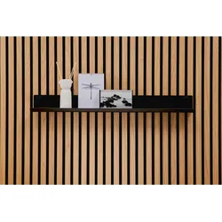 ter Hürne SilentDesign LivingWall Anbauelement Metall pulverbeschichtet schwarz Large Lasse Large Function 810x80x85 mm