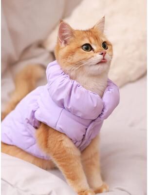 Uplifted Finds Premium Dog Jacket For Autumn Winter purple xl