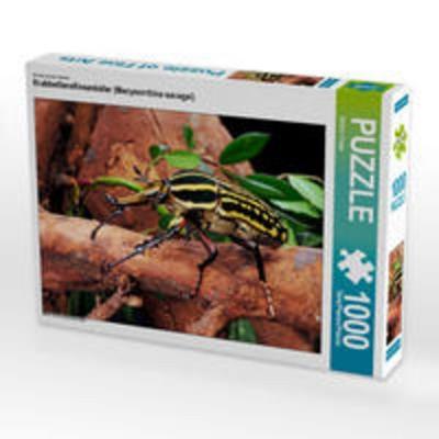 CALVENDO Puzzle Rosenkäfer (Mecynorrhina savagei) 1000 Teile Lege-Größe 64 x 48 cm Foto-Puzzle Bild von Benny Trapp