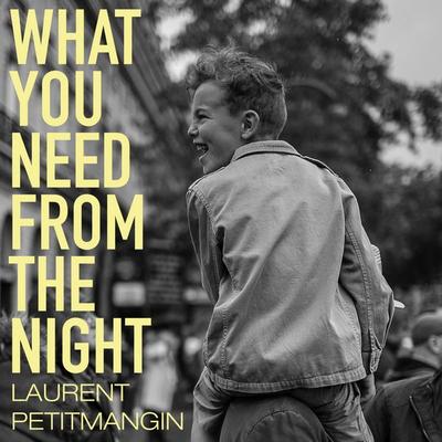 What You Need From The Night - Laurent Petitmangin, Audio, 9781529063547