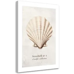 WANDBILD natürliche muschel
