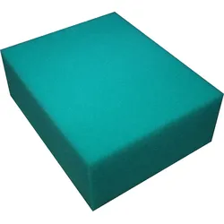 Oase Ersatzteil Ersatzschwamm grün für BioSmart 18000-36000 (56679)