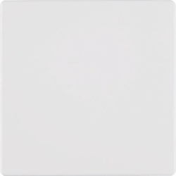 Berker KNX-Funk Taste 1fach 85145129