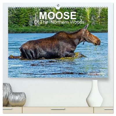 MOOSE Of The Northern Woods (High Quality Premium Wall Calendar 2026 DIN A2 landscape),CALVENDO 12 Month Wall Calendar