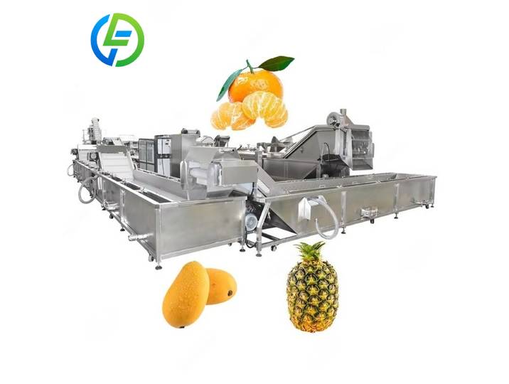 Machine de lavage de légumes automatisée industrielle personnalisée, nettoyeur de gousses d'ail pour le nettoyage de l'ail