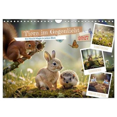 Tiere im Gegenlicht (Wandkalender 2027 DIN A4 quer), CALVENDO Monatskalender