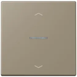 Jung Wippe mit Lichtleiter LC 101 KO5P 242