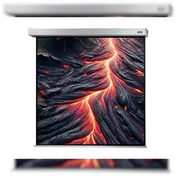 celexon Leinwand Motor Professional Plus 300 x 300 cm