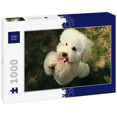 Lais Puzzle Pudel 1000 Teile