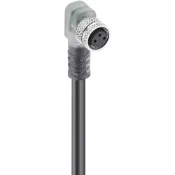 Belden Kupplg.m.Schraubv.+LED,gew RKMWV/LED A3-224/2m