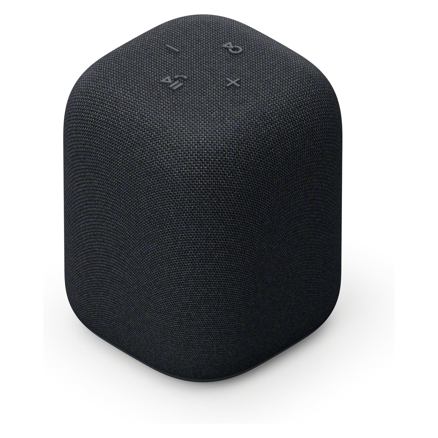 Sony SRS-LS1 (25 h) (SRSLS1B.CE7)