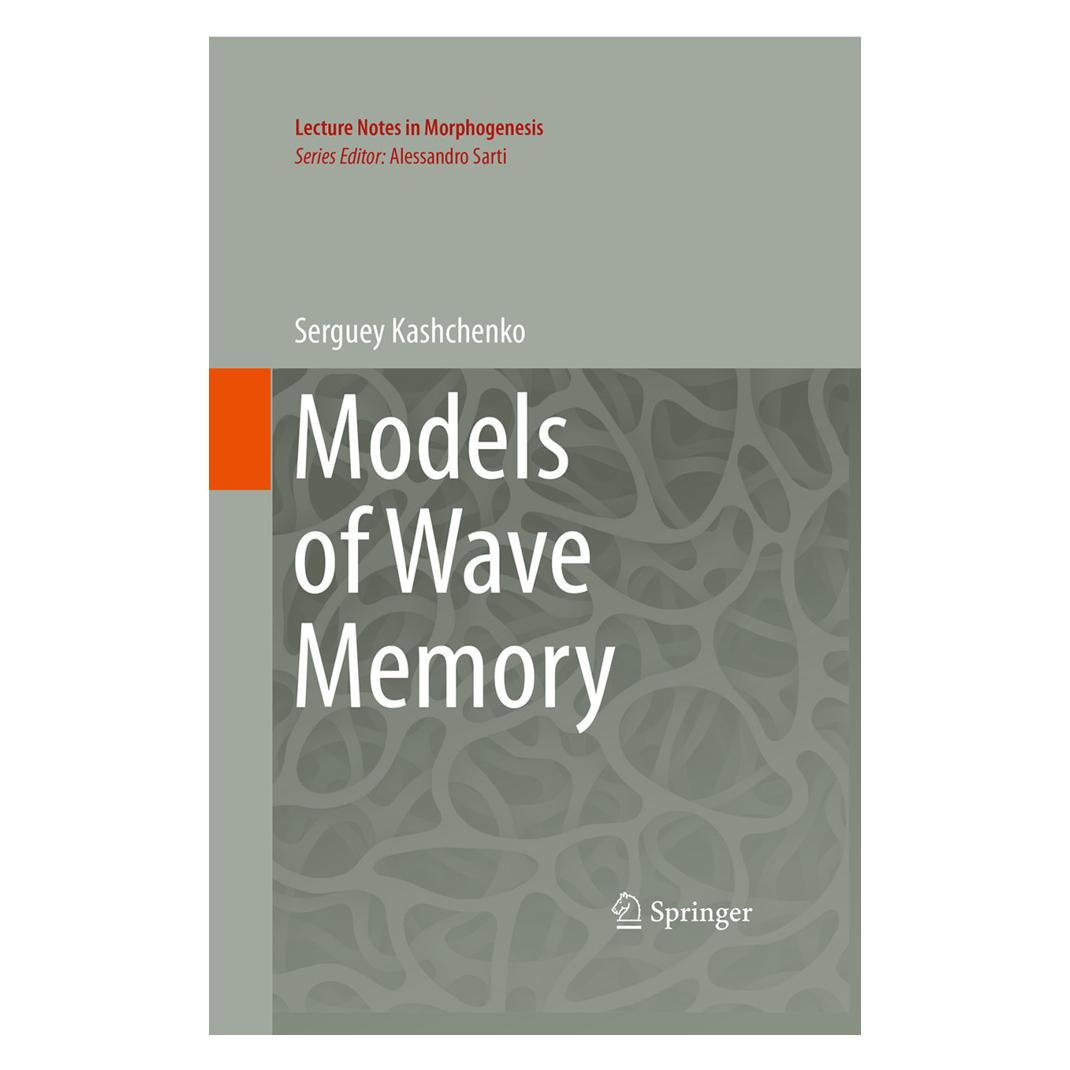 Springer Models of Wave Memory (Englisch, Softcover, Serguey Kashchenko) (55949699)
