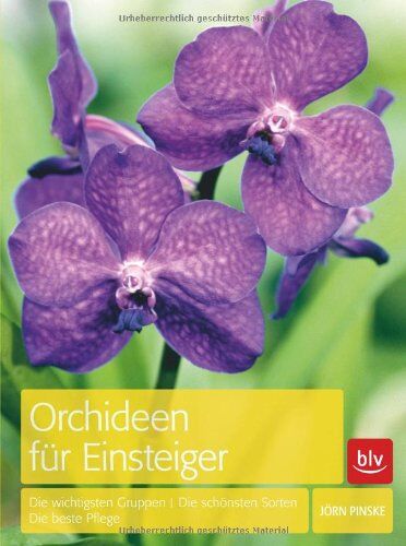 Jörn Pinske - Orchideen für Einsteiger: Die wichtigsten Gruppen · Die schönsten Sorten · Die beste Pflege - Preis vom 04.10.2026 03:51:26 h