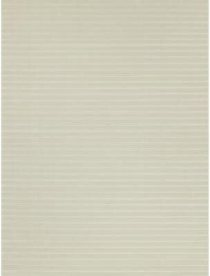 Exquisite Rugs Amani Modern handloomed Silky Nylon Beige Area Rug