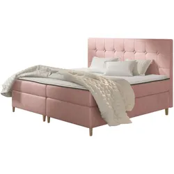 BOXBETT Avanti - H3