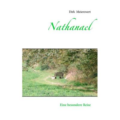 Nathanael, Taschenbuch von Dirk Meierewert, BoD – Books on Demand, 978-3-7357-9404-8