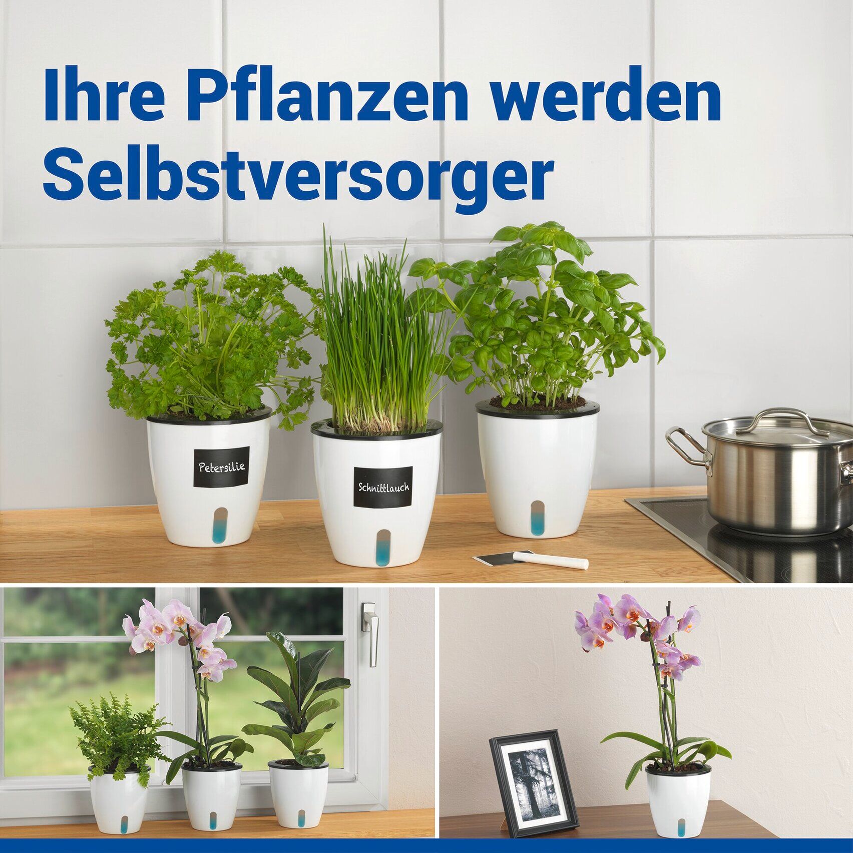 Pflanzschale MAXIMEX "Selbstbewässernde Pflanztöpfe", weiß, H:13,5cm Ø:13cm, Kunststoff, Pflanzgefäße, 13x13,5 cm, mit Wasserstandsanzeige