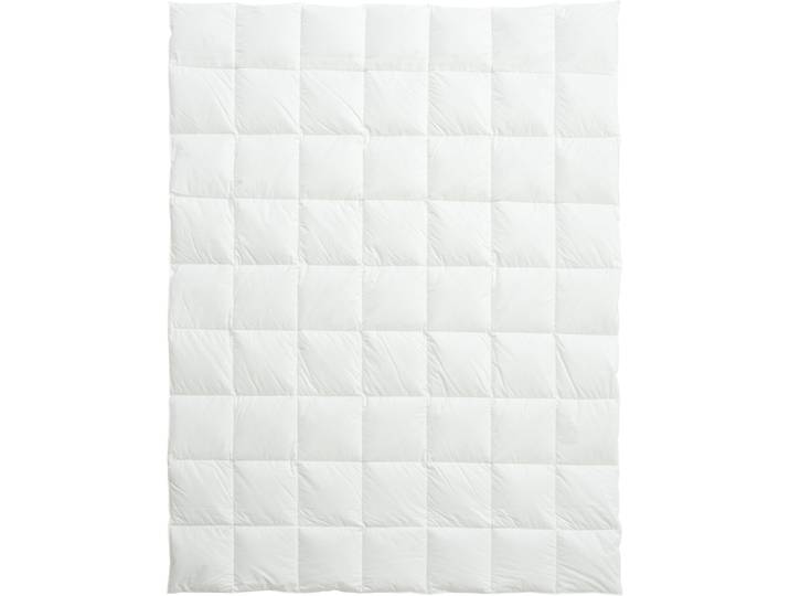 Billerbeck Daunenduvet Organic Goose Light weiss Baumwolle/Daunen 160 x 210 cm Gänsedaunen - Farbe: Weiß - Schweizer Möbelhersteller
