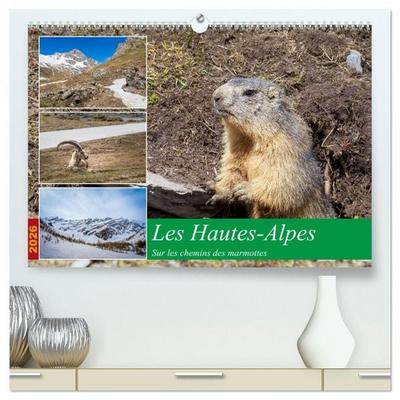 Les Hautes-Alpes sur les chemins des marmottes (Calendrier mural 2026 DIN A2 vertical) calendrier de bureau