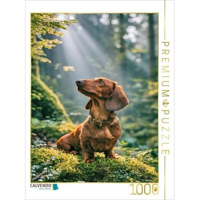 CALVENDO Puzzle Jeder Weg ein Abenteuer | 1000 Teile Lege-Größe 64x48cm Foto-Puzzle für glückliche Stunden