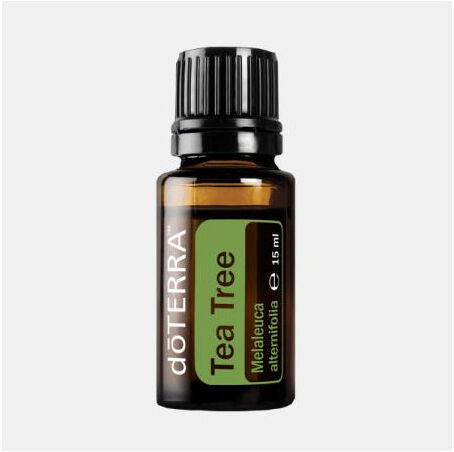 doTERRA OLEO ESSENCIAL MELALEUCA TEA TREE 15ml