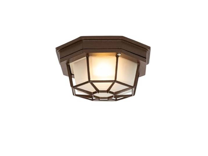 Qazqa bri - Plafonnier - 1 lumière - Ø 21.3 cm - Brun rouille - Rustique - éclairage extérieur