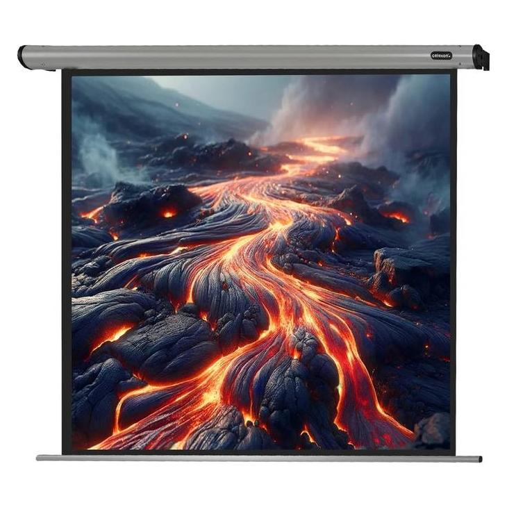 Celexon Home Cinema electric screen - Leinwand - Deckenmontage möglich, geeignet für Wan (226.30", 1:1) (1090108)