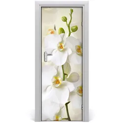 TÜRAUFKLEBER 75x205 cm Dekorativ für Türen