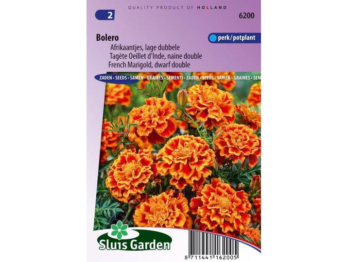 Tagetes Patula zaden Bolero afrikaantje
