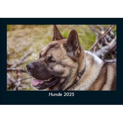 Hunde 2025 Fotokalender DIN A5