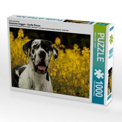CALVENDO Puzzle Ein Motiv aus dem Kalender Deutsche Doggen - Sanfte Riesen | 1000 Teile Lege-Größe 64x48cm Foto-Puzzle für glückliche Stunden