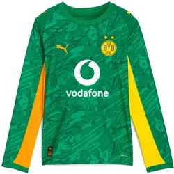 Puma, Jungen, Fussballtrikot, BVB GK Jersey Replica LS JR with Sponsor (152), Grün