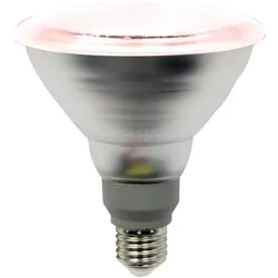 LIGHTME LED-Pflanzenlampe E27 15W 75mA PAR38 LM85322