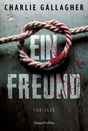 Charlie Gallagher - Ein Freund: Thriller - Preis vom 30.09.2026 22:30:23 h