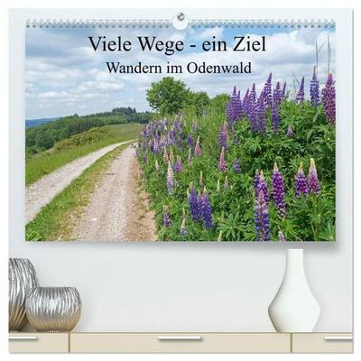 Viele Wege - ein Ziel Wandern im Odenwald (hochwertiger Premium Wandkalender 2027 DIN A2 quer), Kunstdruck in Hochglanz