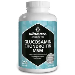 GLUCOSAMIN CHONDROITIN MSM Vitamin C Kapseln 208,8 g