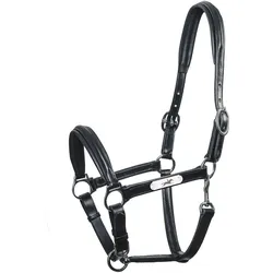 Lederhalfter SP Ulm Pro
