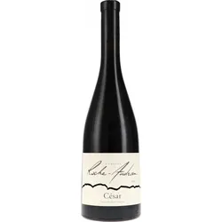 Côtes du Rhône Rouge Cuvée César AOC Roche-Audran 2020 BIO