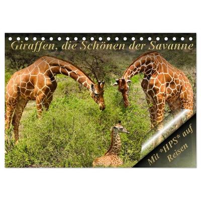 Giraffen, die Schönen der Savanne (Tischkalender 2026 DIN A5 quer), CALVENDO Monatskalender