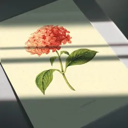 POSTER Impression Artistique Hortensie A3 Rahmenlos