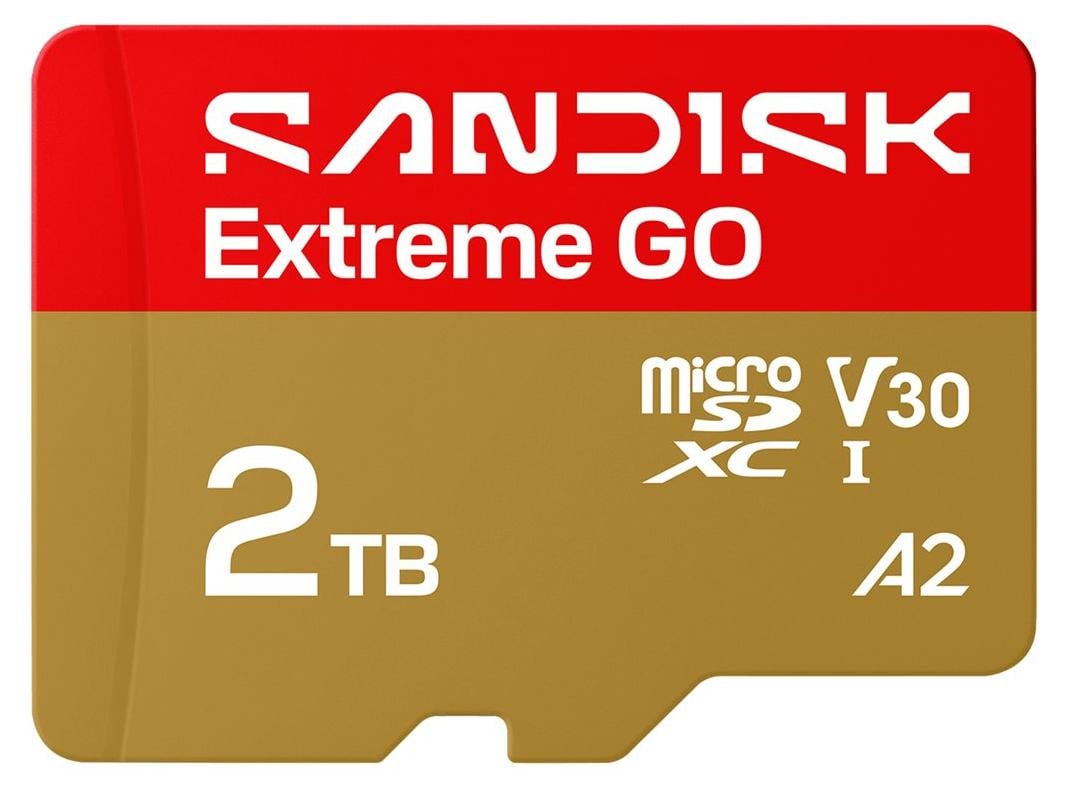 SanDisk Extreme Go microSDHC UHS-I Flashgeheugenkaart, 2 TB, A2 / Video Class V30
